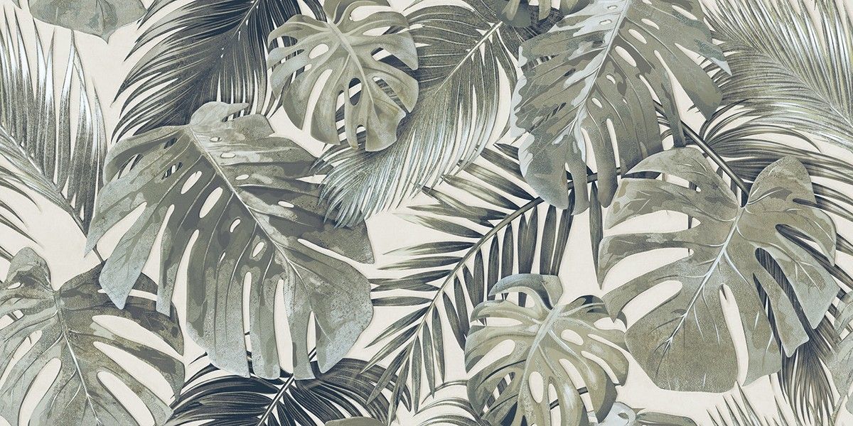 XS Areca Light 60x120